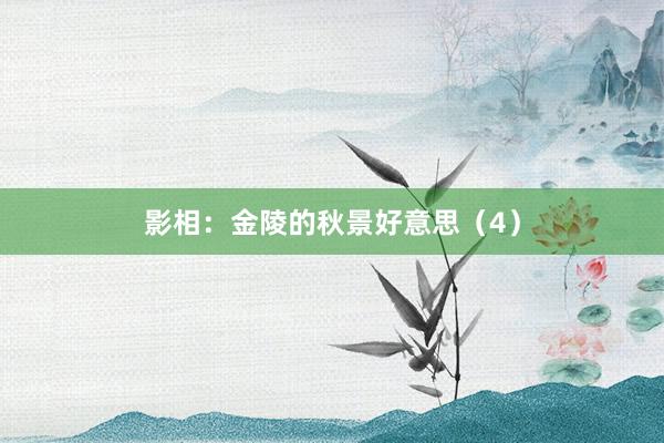 影相：金陵的秋景好意思（4）