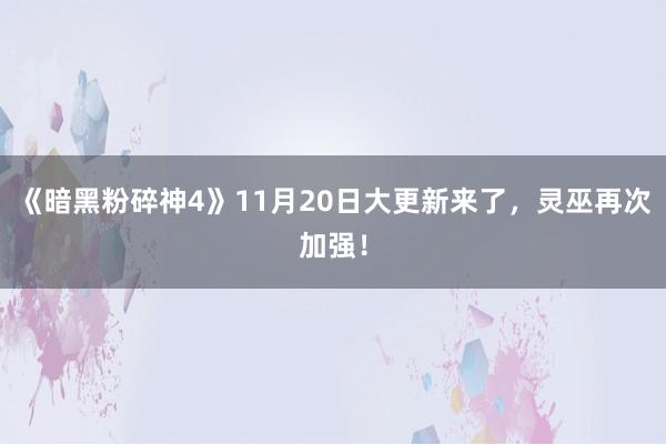 《暗黑粉碎神4》11月20日大更新来了，灵巫再次加强！